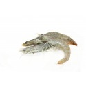 Crevettes grises 1Kg ( grand calibre )