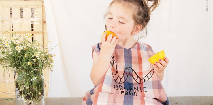 What is Bootstrap? – The History and the Hype