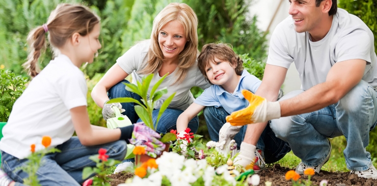 Christmas Sale is here 7