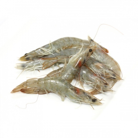 Crevettes grises 2Kg