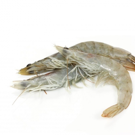 Crevettes grises 1Kg ( grand calibre )